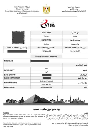 Egypt eVisa Form 18