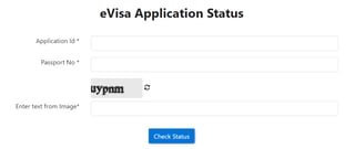 How To Check My Egypt Visa Status