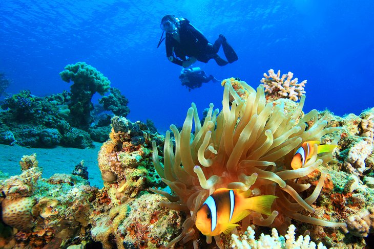 egypt top attractions diving red sea